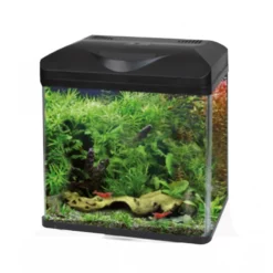 Ενυδρείο Croci Laguna 40 Led Μαύρο