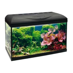 Ενυδρείο Croci Basic 60 Led