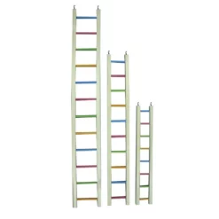 Παιχνίδι Αναρρίχησης Πουλιών Wooden Ladder Multicolor 92cm