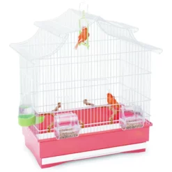 Κλουβί Πουλιών Imac Pagoda 50x30x53cm