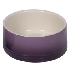 Nobby Κεραμικό Μπολ Gradient 250ml Μωβ