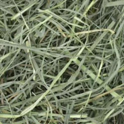 Χόρτο Oxbow Orchard Grass Hay 1.13kg -Προμήθειες Για Κατοικίδια Κατάστημα πωλήσεων OX350602 3 1000x1000 1