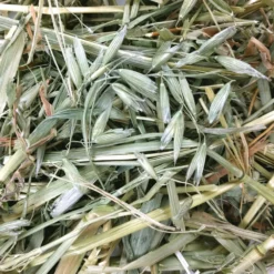 Χόρτο Oxbow Oat Hay 425gr -Προμήθειες Για Κατοικίδια Κατάστημα πωλήσεων OX350605 3 1000x1000 1