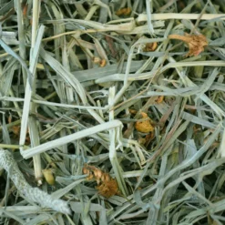 Χόρτο Oxbow Botanical Hay 425gr -Προμήθειες Για Κατοικίδια Κατάστημα πωλήσεων OX350606 3 1000x1000 1