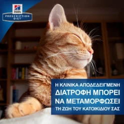 Hills Hill's Prescription Diet Y/d Feline 1,5kg -Προμήθειες Για Κατοικίδια Κατάστημα πωλήσεων PD Thumbnail 900x900 Transforming Lives EL o5c2 f2 1000x1000 14