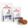 Royal Canin Pill Assist, Βοηθητική Λιχουδιά Χορήγησης Χαπιών Small -Προμήθειες Για Κατοικίδια Κατάστημα πωλήσεων PILL20ASSIST 800x800 1