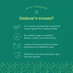 Λιχουδιές Τρωκτικών Oxbow Organic Barley Biscuits 75gr 12 Λιχουδιές Τρωκτικών Oxbow Organic Barley Biscuits 75gr -Προμήθειες Για Κατοικίδια Κατάστημα πωλήσεων Why Choose Oxbow s Treats e1659987945501 600x600 1000x1000 1