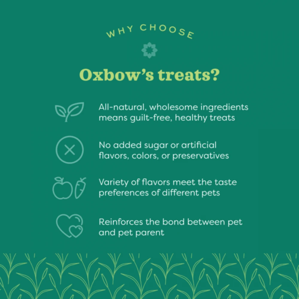 Λιχουδιές Τρωκτικών Oxbow Organic Barley Biscuits 75gr 7 Λιχουδιές Τρωκτικών Oxbow Organic Barley Biscuits 75gr - Image 5