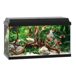 Ενυδρείο Juwel Primo 60 Μαύρο 57lt