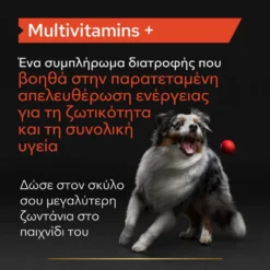 Purina Pro Plan Dog Multivitamins + Συμπλήρωμα Διατροφής Σκύλου Με Πολυβιταμίνες Σε Δισκία 67gr -Προμήθειες Για Κατοικίδια Κατάστημα πωλήσεων purina pro plan dog multivitamins sympliroma diatrofis skuloy me polyvitamines se diskia 67gr petshop88 3 1000x1000 1