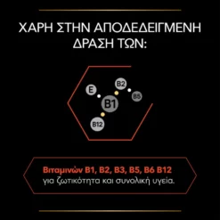 Purina Pro Plan Dog Multivitamins + Συμπλήρωμα Διατροφής Σκύλου Με Πολυβιταμίνες Σε Δισκία 67gr -Προμήθειες Για Κατοικίδια Κατάστημα πωλήσεων purina pro plan dog multivitamins sympliroma diatrofis skuloy me polyvitamines se diskia 67gr petshop88 4 1000x1000 1