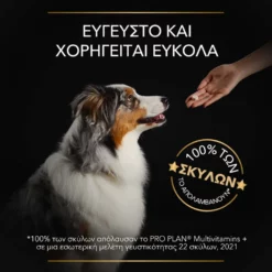 Purina Pro Plan Dog Multivitamins + Συμπλήρωμα Διατροφής Σκύλου Με Πολυβιταμίνες Σε Δισκία 67gr -Προμήθειες Για Κατοικίδια Κατάστημα πωλήσεων purina pro plan dog multivitamins sympliroma diatrofis skuloy me polyvitamines se diskia 67gr petshop88 6 1000x1000 1