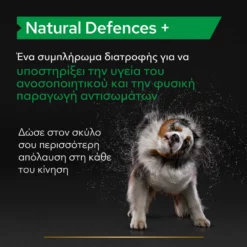 Purina Pro Plan Dog Natural Defences + Συμπλήρωμα Διατροφής Σκύλου Για Φυσική Άμυνα Σε Δισκία 67gr -Προμήθειες Για Κατοικίδια Κατάστημα πωλήσεων purina pro plan dog natural defences sympliroma diatrofis skuloy gia fysiki amyna se diskia 67gr petshop88 3 1000x1000 1
