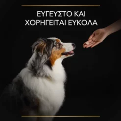 Purina Pro Plan Dog Natural Defences + Συμπλήρωμα Διατροφής Σκύλου Για Φυσική Άμυνα Σε Δισκία 67gr -Προμήθειες Για Κατοικίδια Κατάστημα πωλήσεων purina pro plan dog natural defences sympliroma diatrofis skuloy gia fysiki amyna se diskia 67gr petshop88 6 1000x1000 1