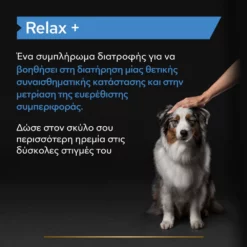 Purina Pro Plan Dog Relax + Συμπλήρωμα Διατροφής Σκύλου Για Χαλάρωση Σε Έλαιο 250ml -Προμήθειες Για Κατοικίδια Κατάστημα πωλήσεων purina pro plan dog relax sympliroma diatrofis skuloy gia chalarosi se elaio 250ml petshop88 3 1000x1000 1