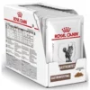Royal Canin Cat GastroIntestinal Pouch 12x85gr (12τμχ) -Προμήθειες Για Κατοικίδια Κατάστημα πωλήσεων royal canin veterinary gastro intestinal wet cat food pouches 2 800x800 1