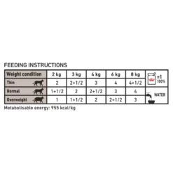 Royal Canin Cat GastroIntestinal Pouch 12x85gr (12τμχ) -Προμήθειες Για Κατοικίδια Κατάστημα πωλήσεων royal canin veterinary gastro intestinal wet cat food pouches 4 1000x1000 1