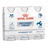Royal Canin Recovery Liquid 3x200ml για σκύλους και γάτες -Προμήθειες Για Κατοικίδια Κατάστημα πωλήσεων royal recovery liquid petshop88 800x800 1