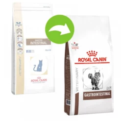 Royal Canin Gastrointestinal Cat 2kg -Προμήθειες Για Κατοικίδια Κατάστημα πωλήσεων royalcanin veterinarydiet feline gastrointestinal 1000x1000 1